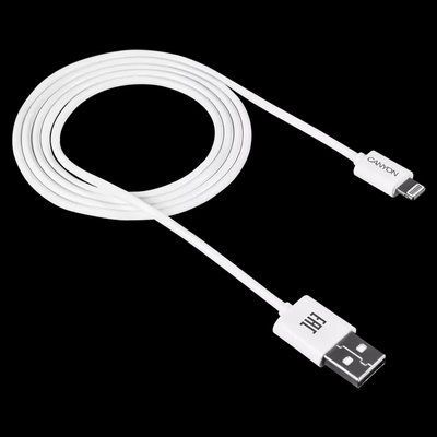 Canyon CFI1W white (Lightning - USB-A) 1м Кабель 99-00012597 фото