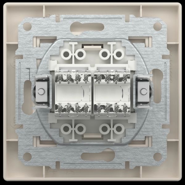 Schneider Electric Asfora EPH4400123 РОЗЕТКА КОМПЬЮТЕРНАЯ RJ45 UTP КАТ. 5Е ДВОЙНА 99-00015599 фото