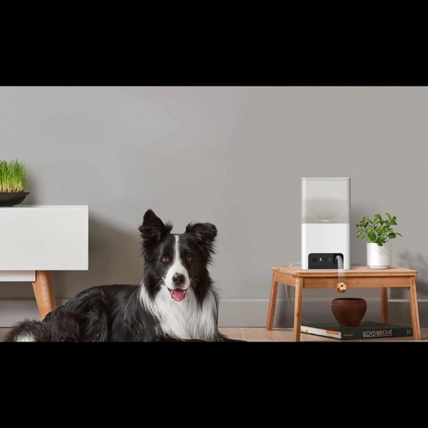 PETCUBE BITES 2 LITE BL10US IP камера 99-00014820 фото