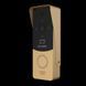ML-20CRHD (black/gold) Виклична панель Slinex 99-00006910 фото 4