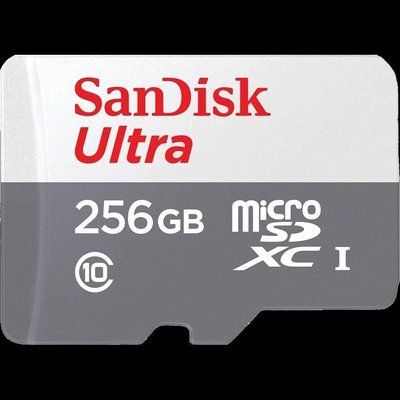 SanDisk Ultra microSDXC 256GB 100MB/s Class 10 UHS-I Модуль флеш-пам'яті 99-00014586 фото